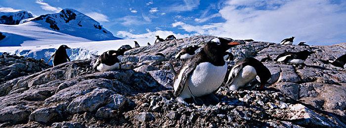 Epic喜加二 免费领《僵尸斯塔布斯》枪火游侠Epic包